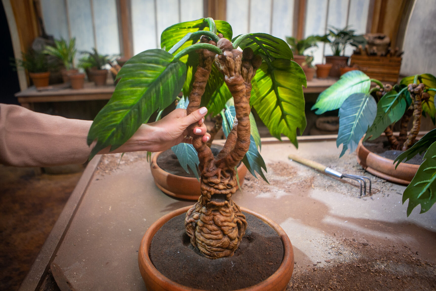 The tour includes an area where visitors can play in a faux greenhouse with screaming mandrake plants modeled after those in the "Harry Potter" films.